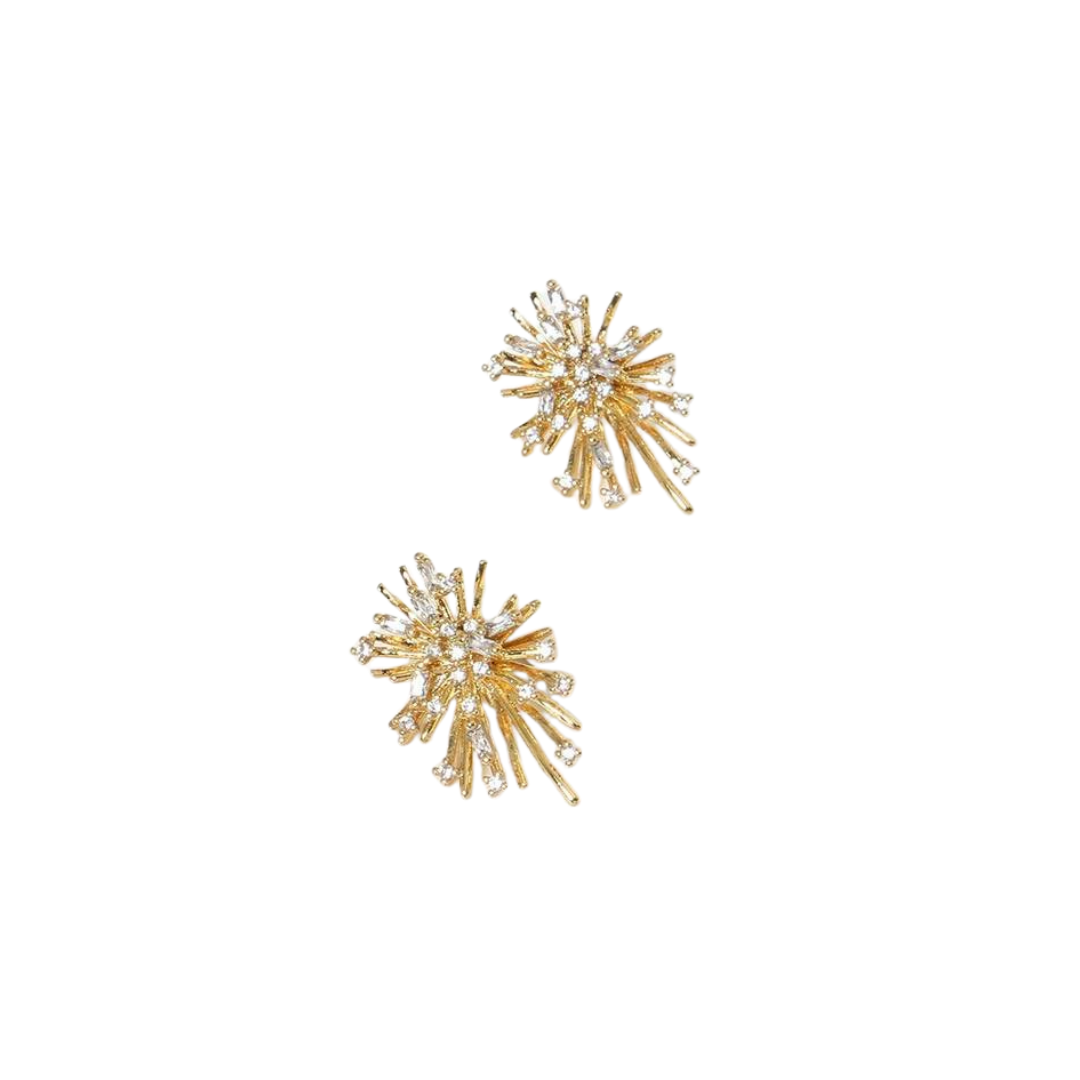 Boucle d'oreille Explosive Flower