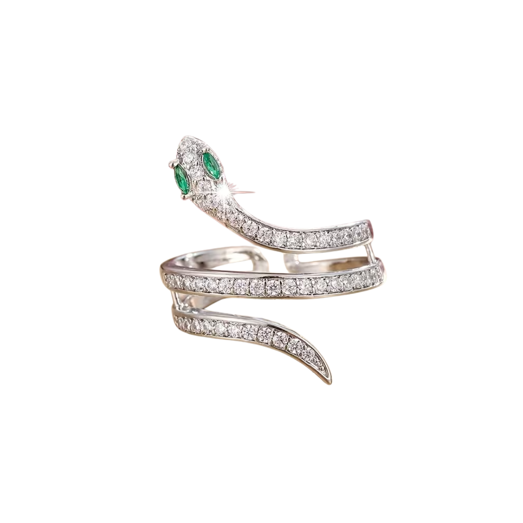 Bague Serpent Double Argentée
