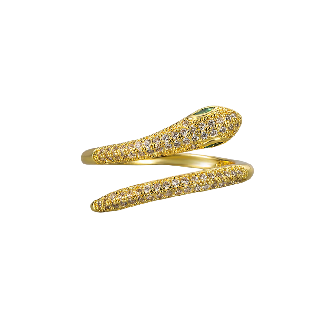 Bague Serpent Double