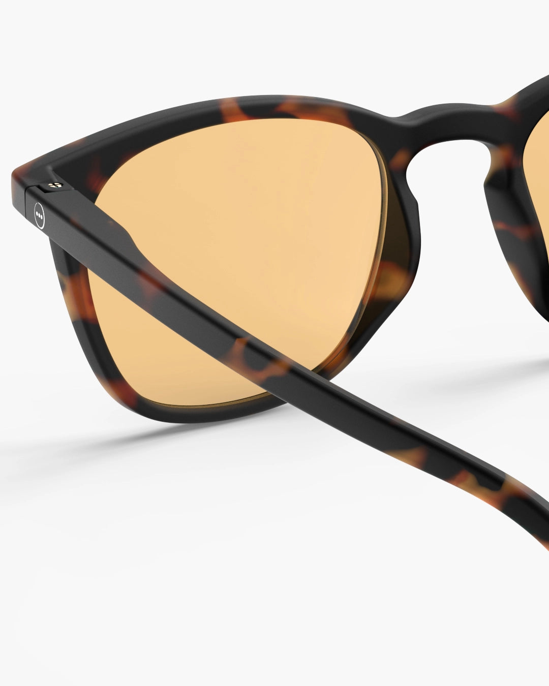 SLEEPING #E Tortoise