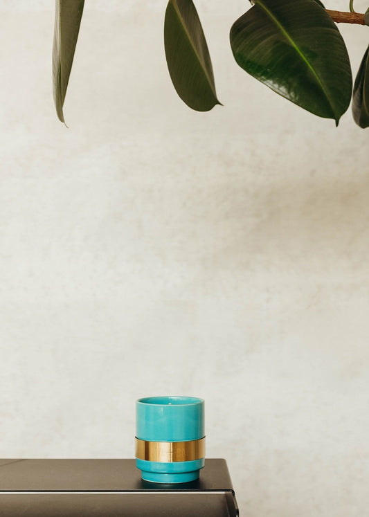 Bougie - Froid de canard