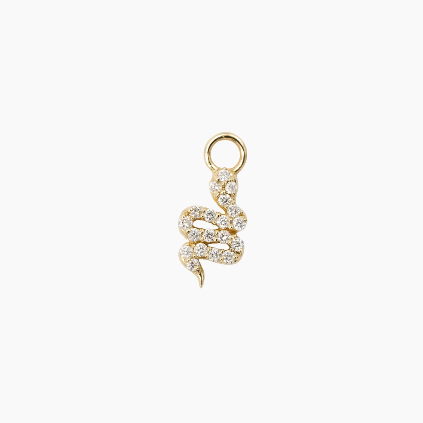 Charm Snake