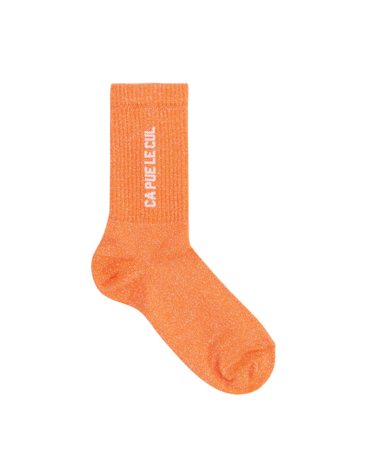 Chaussettes Ça pue le cul / 36-40