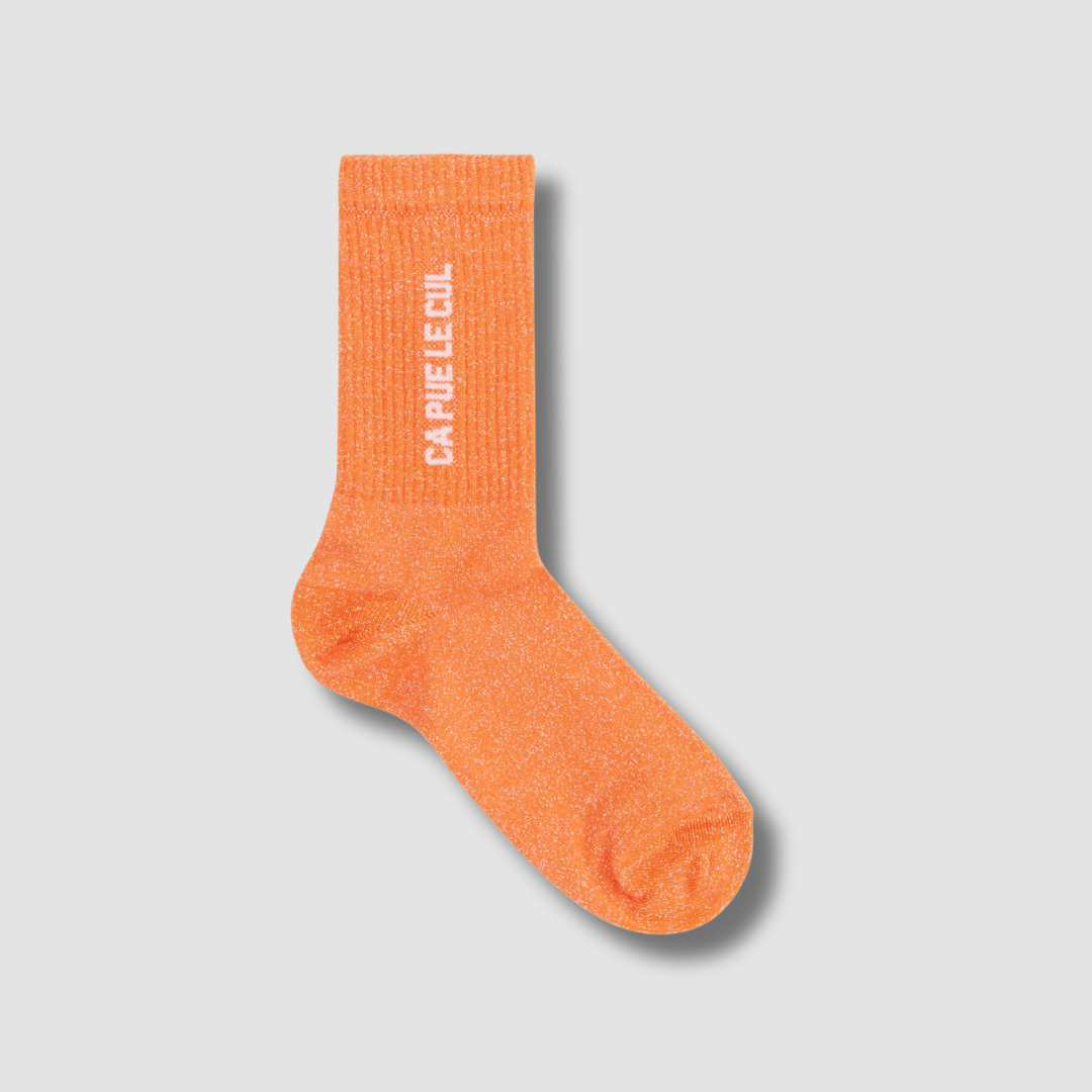 Chaussettes Ça pue le cul / 36-40