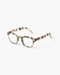 READING #C Light Tortoise
