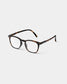 READING SCREEN #E Tortoise