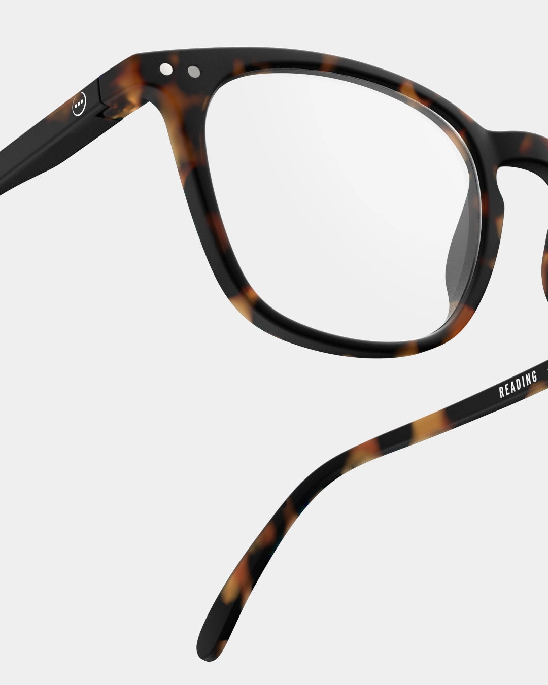 READING SCREEN #E Tortoise