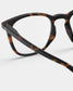 READING SCREEN #E Tortoise