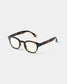 SCREEN #C Tortoise