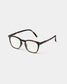 SCREEN #E Tortoise