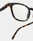 SCREEN #E Tortoise