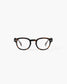 READING SCREEN #C Tortoise
