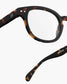 READING SCREEN #C Tortoise